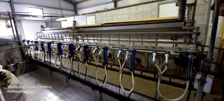 Πραγματοποίηση Γαλακτομέτρησης από την Ένωση Φυλής Φλώρινας